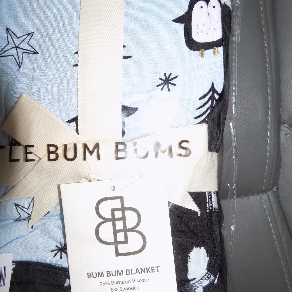 LITTLE BUM BUMS Ice Ice Baby Bum Bum Blanket NEW
